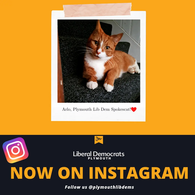 Arlo - Instagram